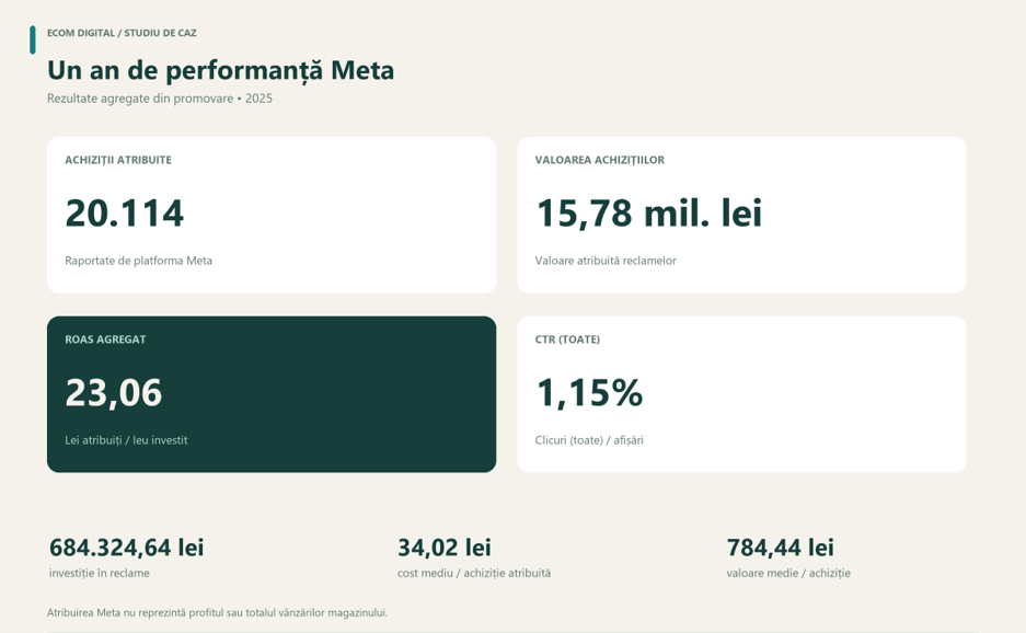 Rezultatele agregate ale campaniilor Meta în 2025